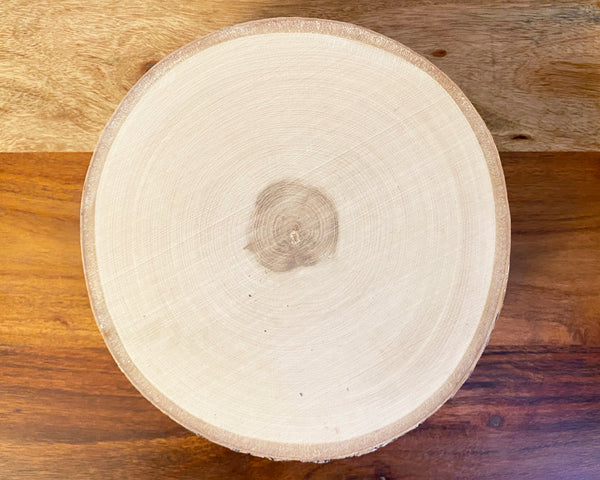 Tree Round - Small Birch (Sample)